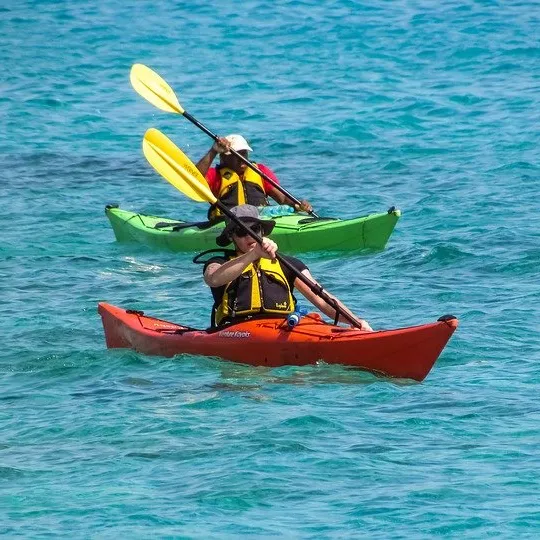 Kayak
